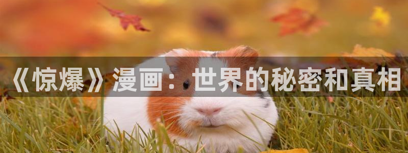 拷贝漫画最新版2.0.4：《惊爆》漫画：世界的秘密和真相