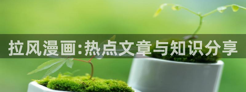 拷贝漫画第三方客户端：拉风漫画:热点文章与知识分享