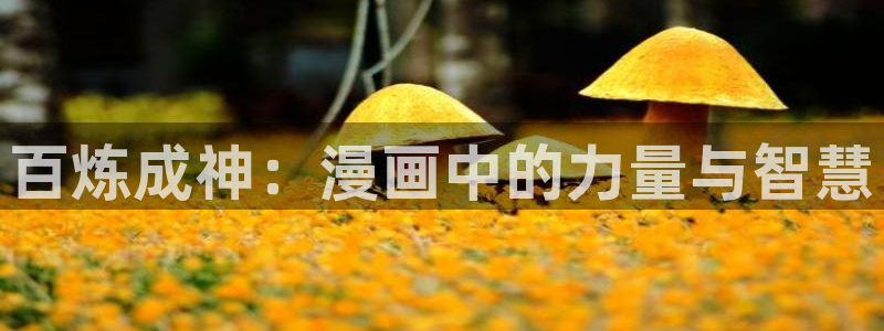 拷贝漫画网络加速器：百炼成神：漫画中的力量与智慧