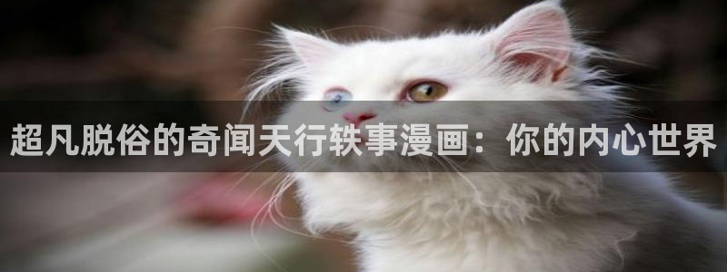 拷贝漫画链接入口：超凡脱俗的奇闻天行轶事漫画：你的内心世界