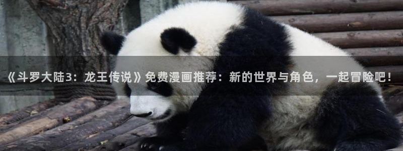 拷贝漫画官网ios：《斗罗大陆3：龙王传说》免费漫画推荐：新的世界与角色，一起冒险吧！