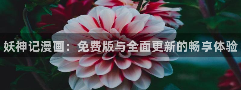 漫画 拷贝：妖神记漫画：免费版与全面更新的畅享体验